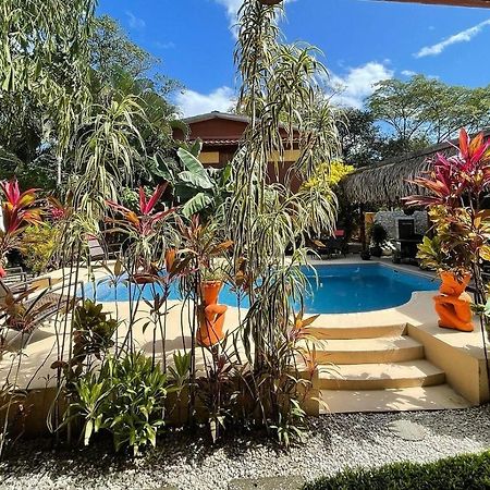 Samara Palm Lodge Extérieur photo