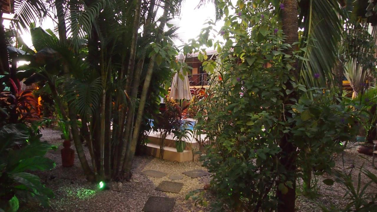 Samara Palm Lodge Extérieur photo