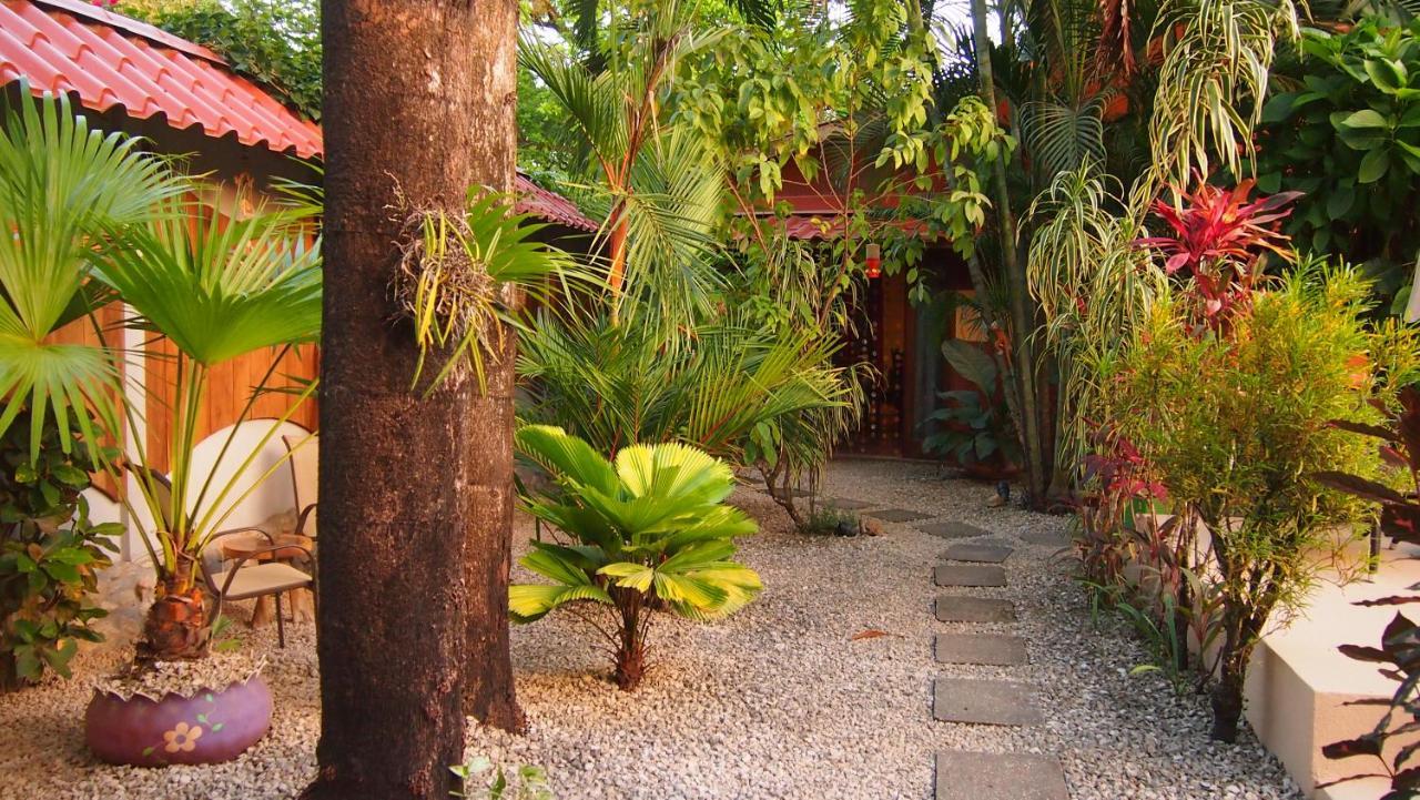 Samara Palm Lodge Extérieur photo