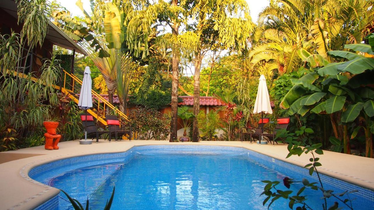 Samara Palm Lodge Extérieur photo