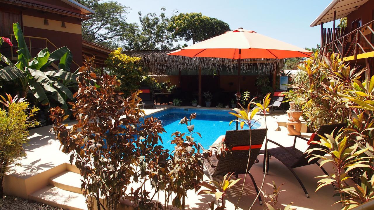Samara Palm Lodge Extérieur photo