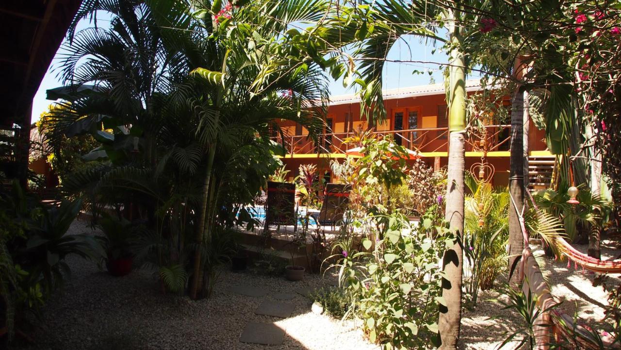 Samara Palm Lodge Extérieur photo